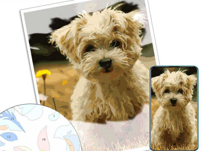 3 images, the first showing a photo of a dog and the second showing a completed paint by numbers painting of the same dog