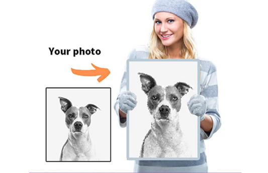 Photo to Canvas Paint by Numbers Kit